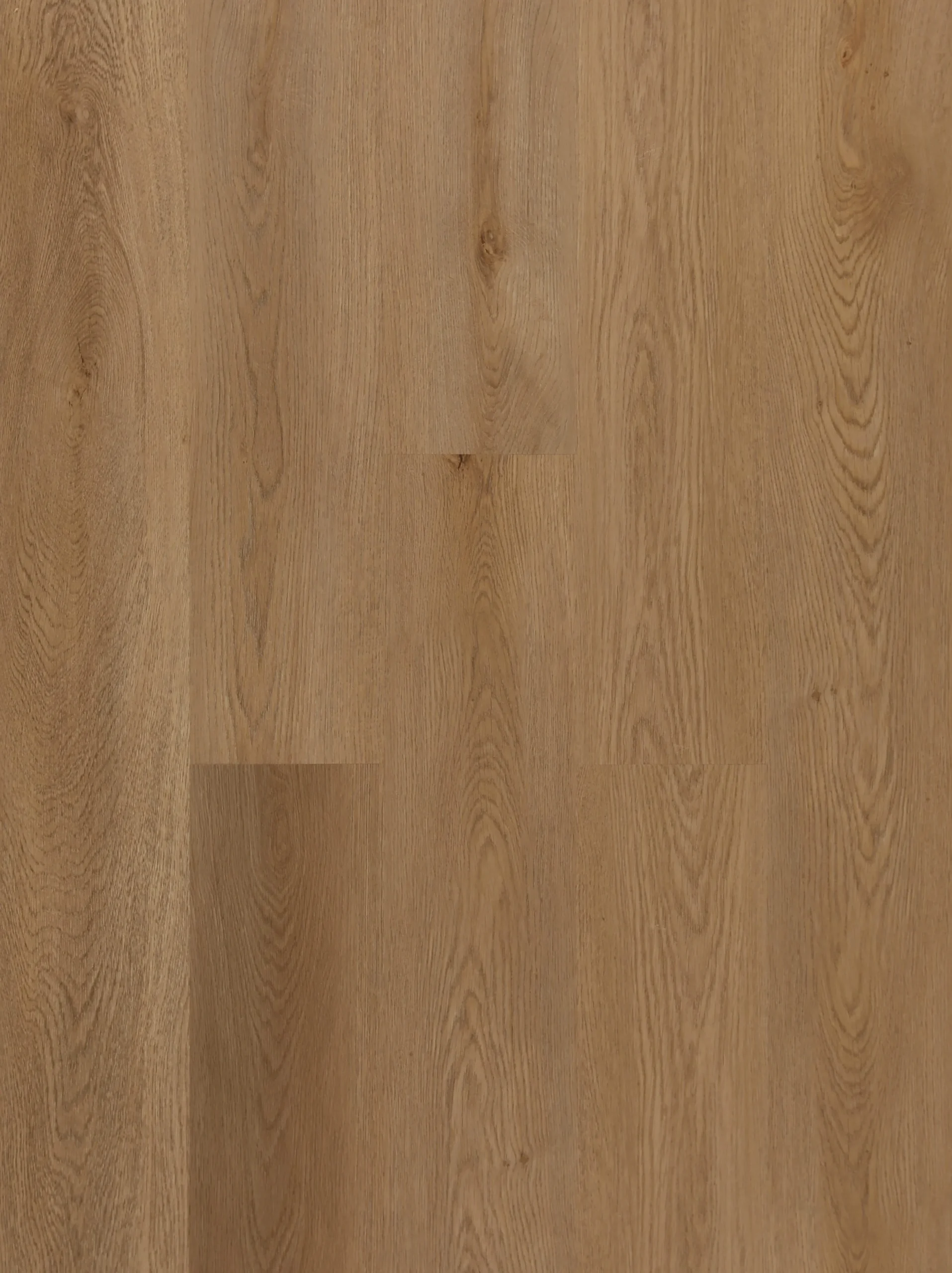 Parkay XPR – Wismar Oak Standards 2.0 Collection